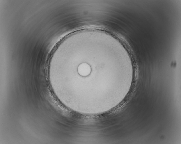 X0000113010828200909171427