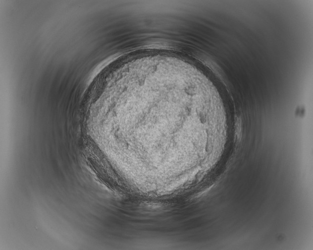 X0000113010829200909171427