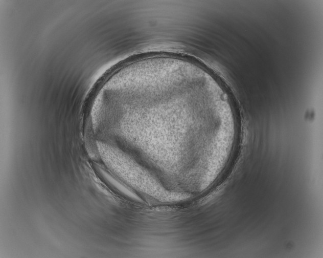 X0000113010830200909171427