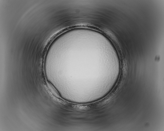 X0000113010831200909171427