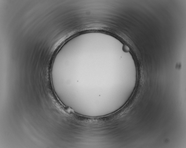 X0000113010834200909171427