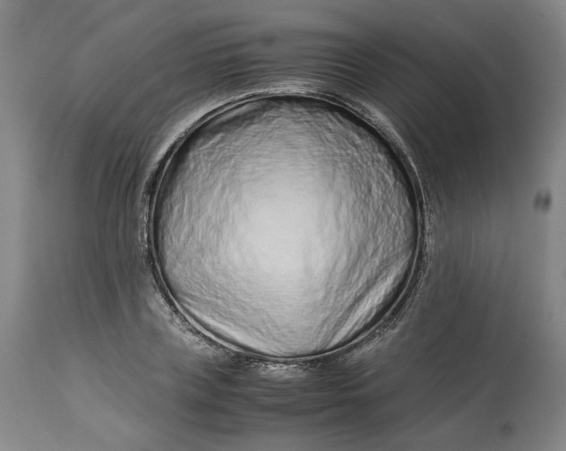 X0000113010835200909171427