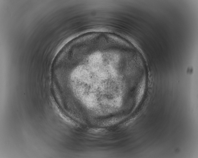 X0000113010837200909171427