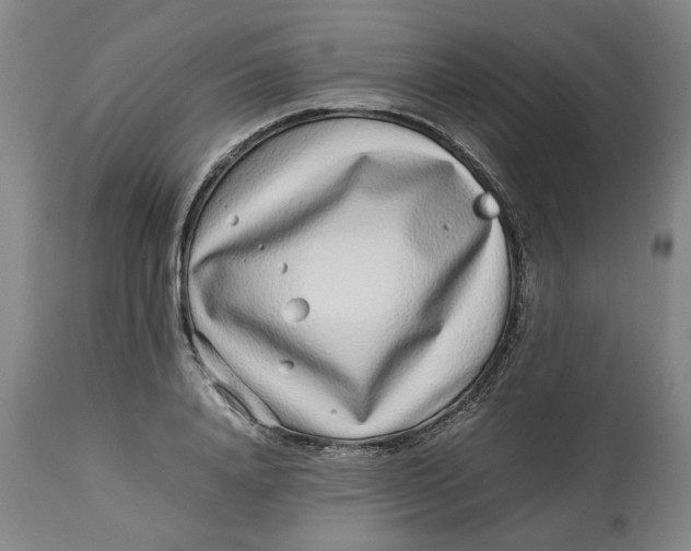 X0000113010840200909171427