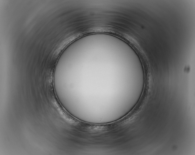 X0000113010841200909171427