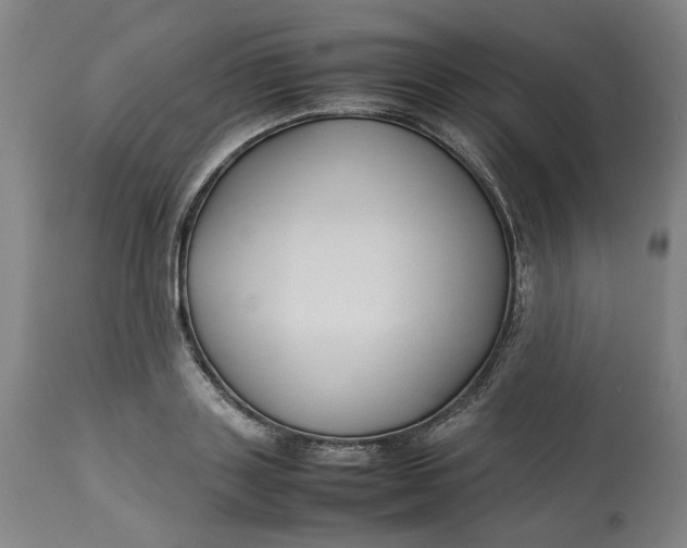 X0000113010843200909171427