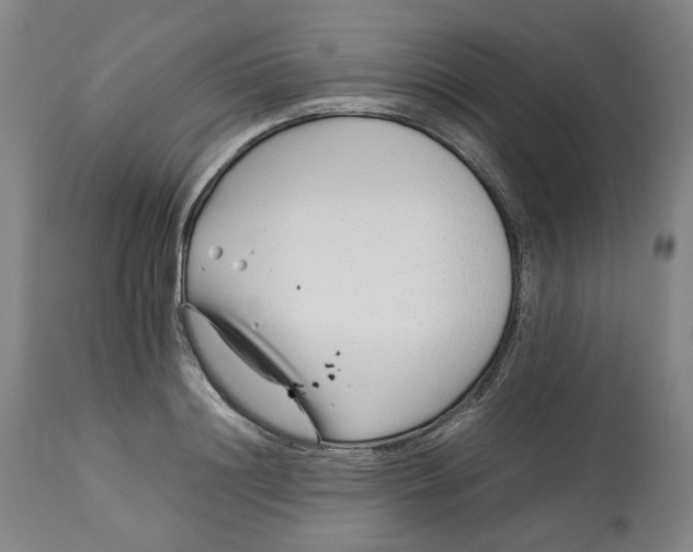 X0000113010844200909171427