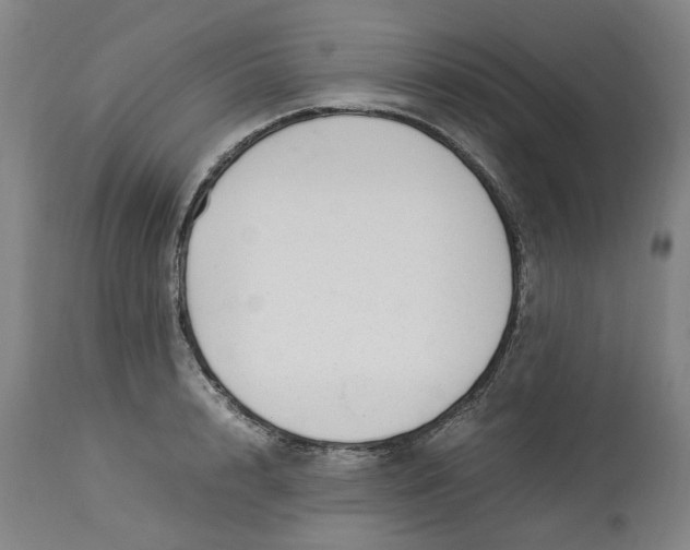 X0000113010848200909171427