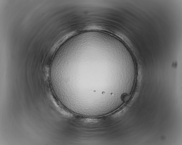 X0000113010849200909171427