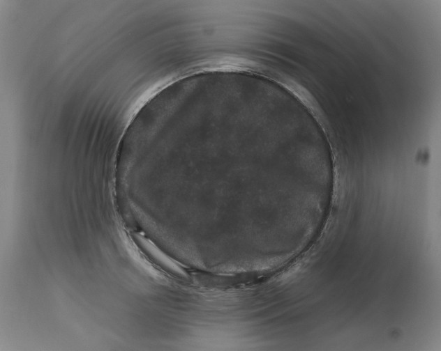 X0000113010850200909171427