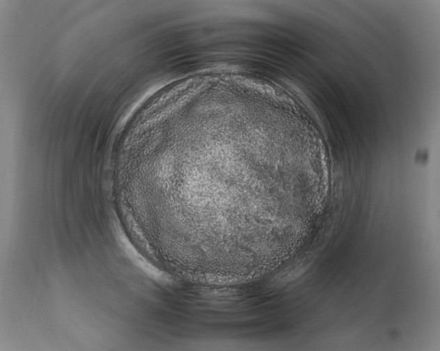 X0000113010851200909171427