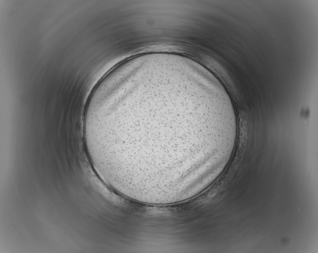 X0000113010852200909171427