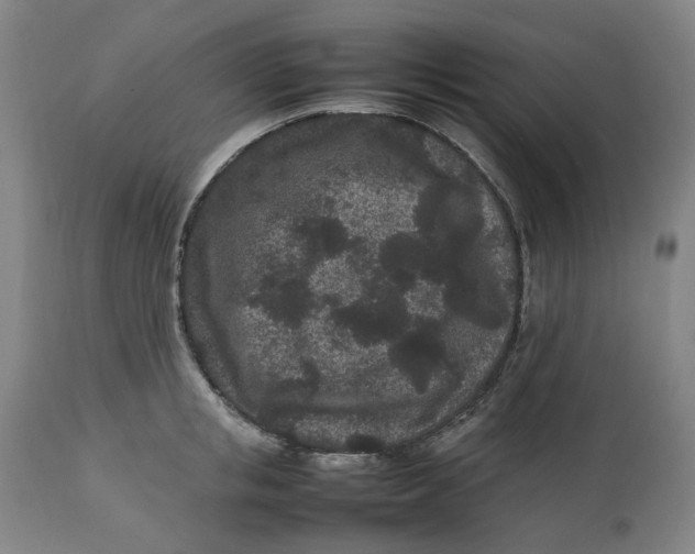 X0000113010853200909171427