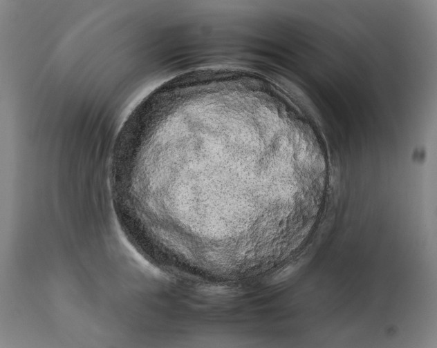 X0000113010855200909171428