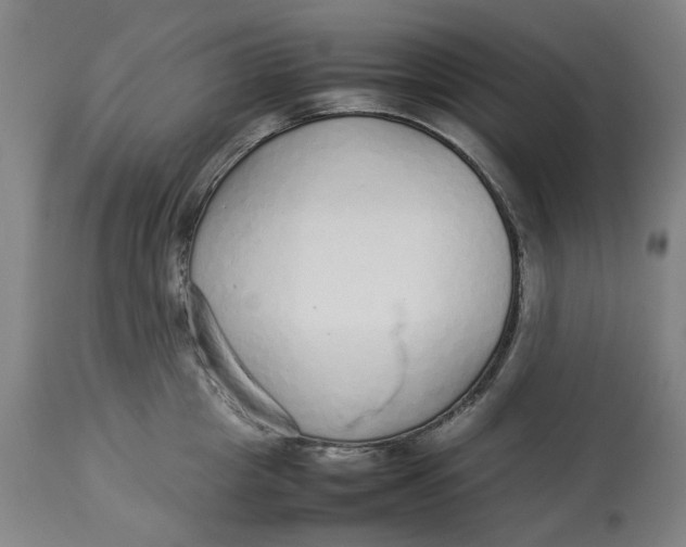 X0000113010857200909171428