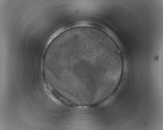 X0000113010858200909171428