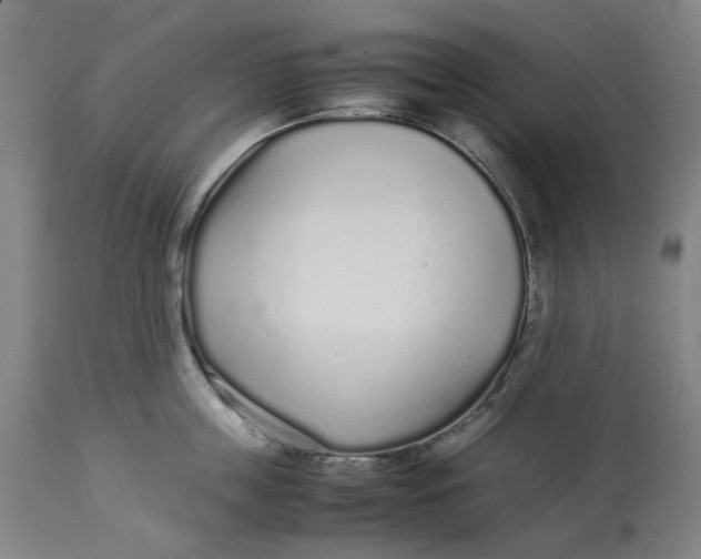 X0000113010859200909171428