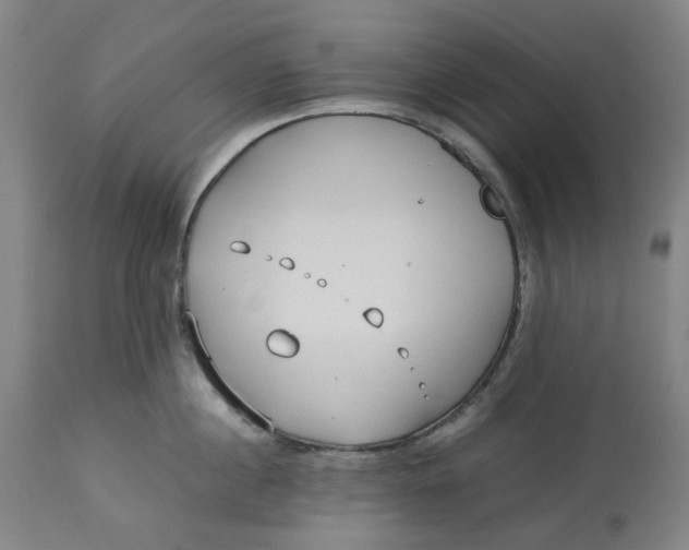 X0000113010860200909171428