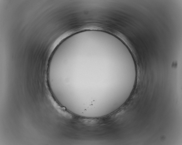 X0000113010861200909171428