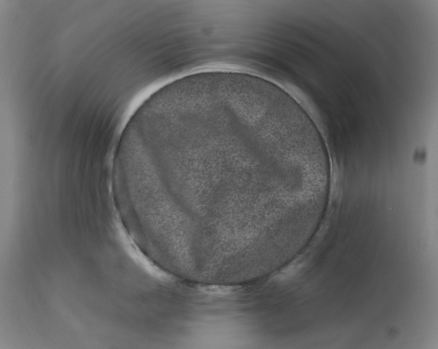 X0000113010862200909171428