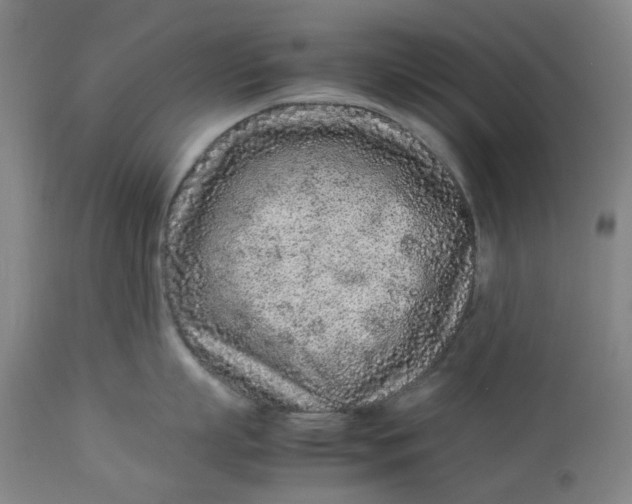 X0000113010863200909171428