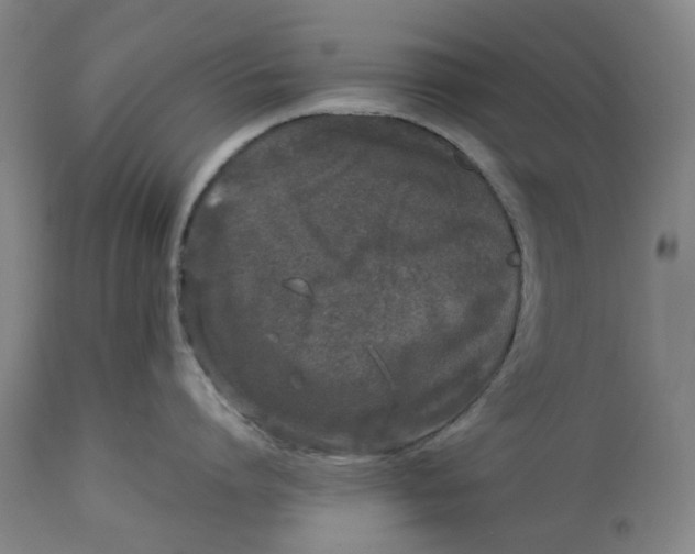 X0000113010864200909171428