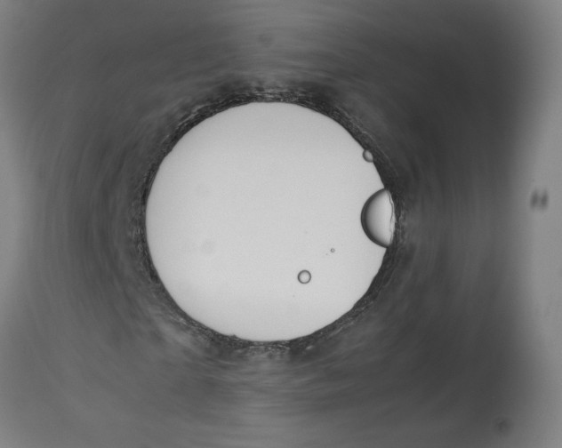 X0000113010865200909171427