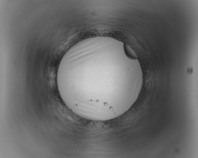 X0000113010866200909171427