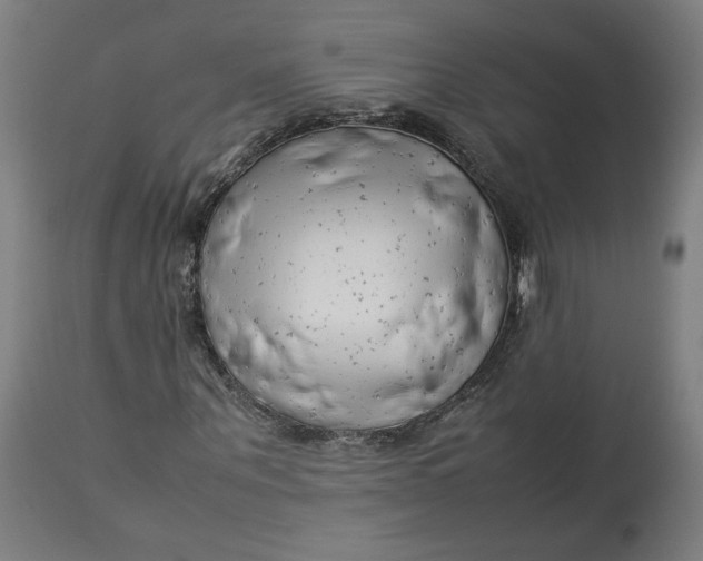 X0000113010867200909171427