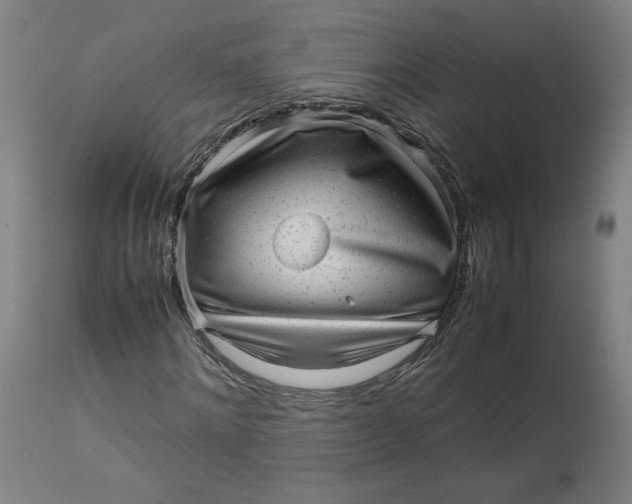 X0000113010868200909171427