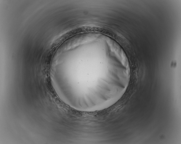 X0000113010870200909171427