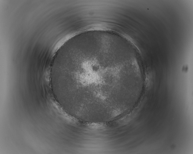 X0000113010874200909171427