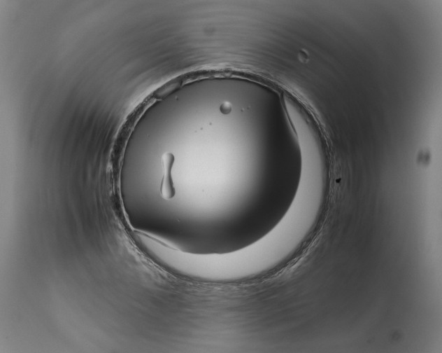 X0000113010876200909171427