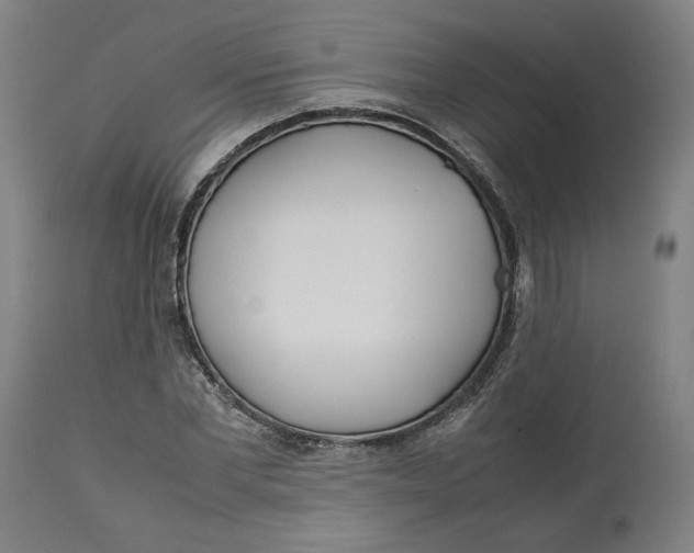 X0000113010877200909171427