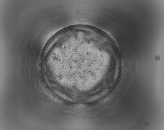 X0000113010879200909171427