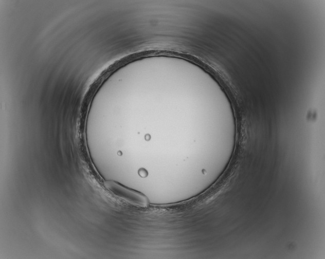 X0000113010880200909171427