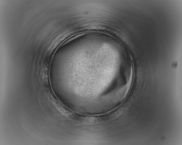 X0000113010881200909171427