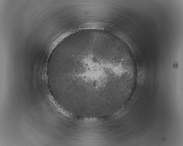 X0000113010882200909171427