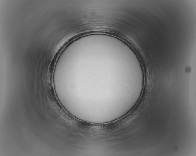 X0000113010883200909171427