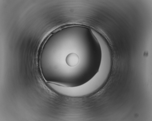 X0000113010884200909171427