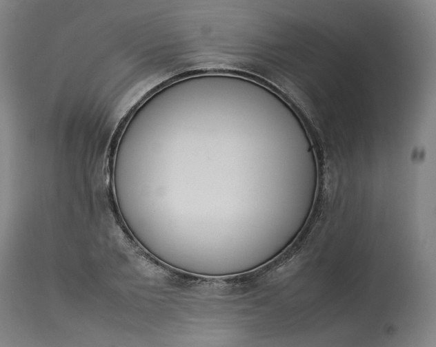 X0000113010885200909171427