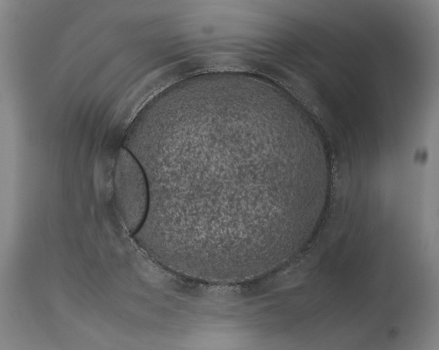 X0000113010889200909171427