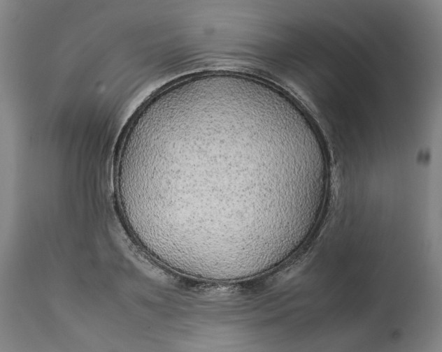 X0000113010891200909171427