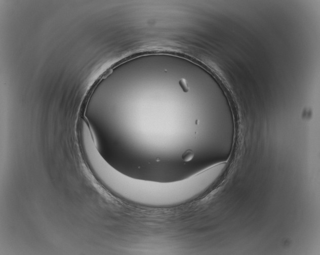 X0000113010893200909171427