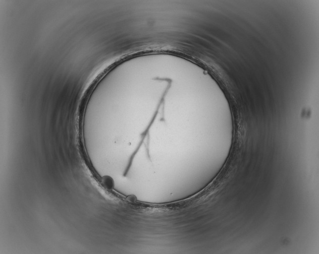 X0000113010894200909171427