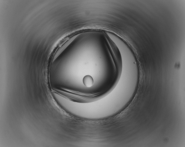 X0000113010896200909171427