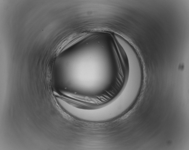 X0000113010897200909171427