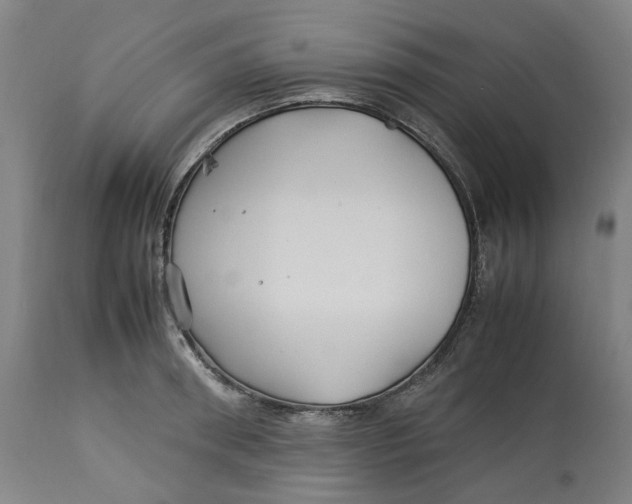 X0000113010898200909171427