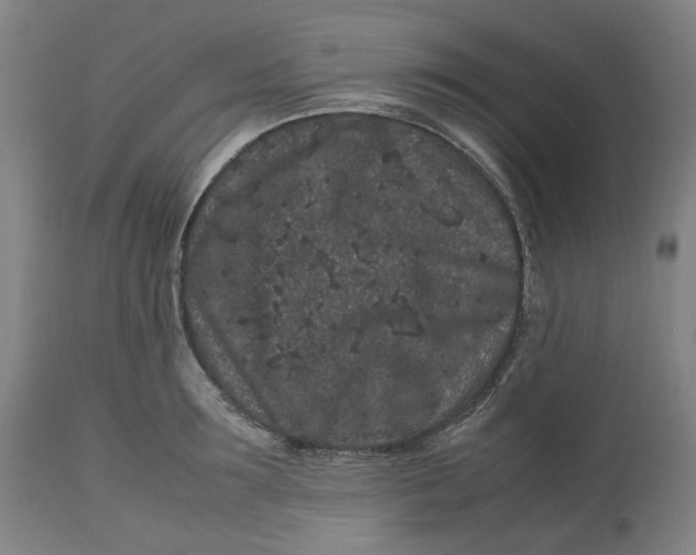 X0000113010899200909171427