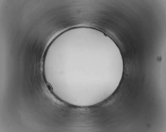 X0000113010900200909171426